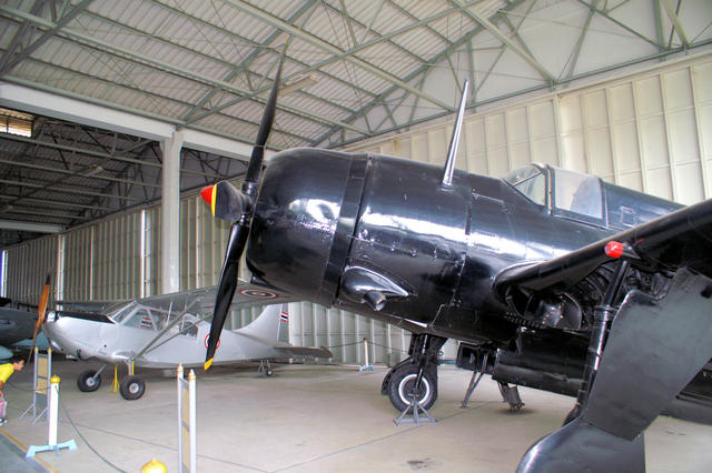 Curtiss SB2C-5 Hell Diver- Fifth View